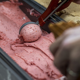 Gelato Scoop - Bellissimo Pizza Gelato Coffee & Desserts- Xplorio™ Kleinmond