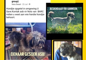 Up for Adoption: Jacky