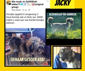 Up for Adoption: Jacky