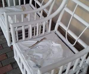 Cane Furniture - Revamped to Look New