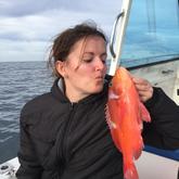 Michelle Fishing Charters R1700.00 per person - Michelle Deep Sea Fishing Charters - Xplorio™ Agulhas/Struisbaai