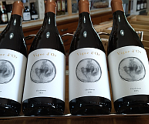 In Stock: Vigne d'Or Chardonnay