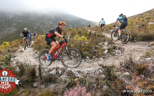 WhatsApp_Image_2020_03_17_at_14.47.30_1584513613_1661414359