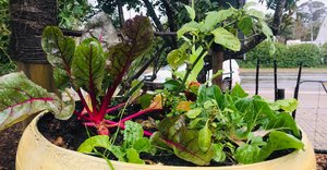 Weekly Enrichment Classes