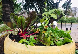 Weekly Enrichment Classes