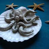 Clam Shell Octopus - Pot en Gieter Gift Basket - Xplorio™ Gansbaai