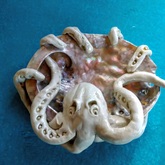 Octopus in Abalone Shell - Pot en Gieter Gift Basket - Xplorio™ Gansbaai
