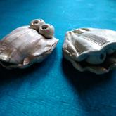 The Clam Brothers - Pot en Gieter Gift Basket - Xplorio™ Gansbaai