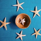 Small Ring Starfish Bowl - Pot en Gieter Gift Basket - Xplorio™ Gansbaai