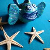 Funky Fish - Pot en Gieter Gift Basket - Xplorio™ Gansbaai