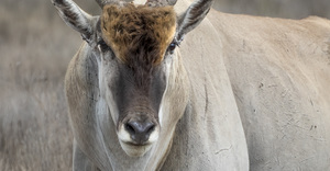 Round 2 Winner of our Photography Competition