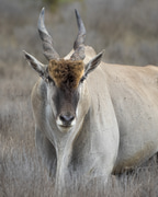 Round 2 Winner of our Photography Competition