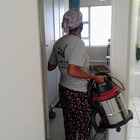 At Work - Dust Free Homes - Xplorio™ Kleinmond