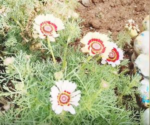 Happy Spring Day from Youth Café Villiersdorp!