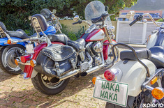 bettys_bay_accommodation_fijnbos_manor_day_trips_1662132451