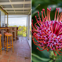 Honesty Bar - Fijnbos Manor - Xplorio™ Betty's Bay