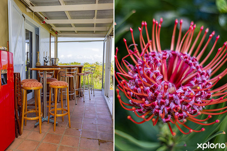 bettys_bay_accommodation_fijnbos_manor_honesty_bar_1662359508