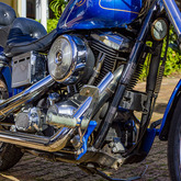 Bike Hire - Fijnbos Manor - Xplorio™ Betty's Bay