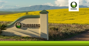 Die Goue Canola is Terug