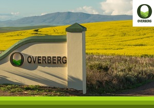 Die Goue Canola is Terug