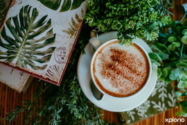 Fynbos Shoppe and Coffee Shoppe is Open During Load-Shedding