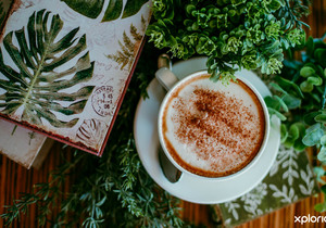 Fynbos Shoppe and Coffee Shoppe is Open During Load-Shedding