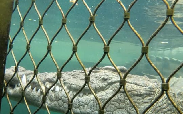 286678417_733434561326475_1437438286910395156_n_1662550286 286678417_733434561326475_1437438286910395156_n_1662550286