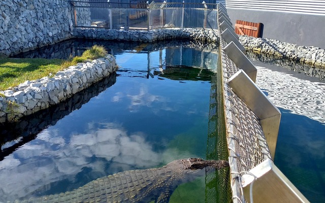 287200534_735442264459038_151975495929182659_n_1662550285 287200534_735442264459038_151975495929182659_n_1662550285