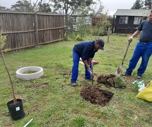 Planting Trees this Arbor Month