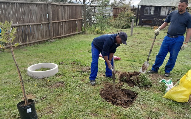 Planting - Theewater Sports Club - Xplorio™ Villiersdorp