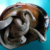 Periwinkle Shell and Handmade Clay Octopus - Pot en Gieter Gift Basket - Xplorio™ Gansbaai