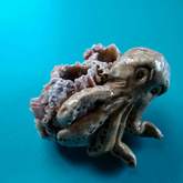 Barnicle Clay Octopus - Pot en Gieter Gift Basket - Xplorio™ Gansbaai