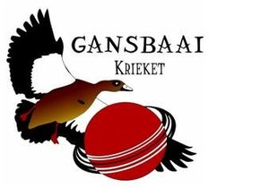 Gansbaai Krieketnuus