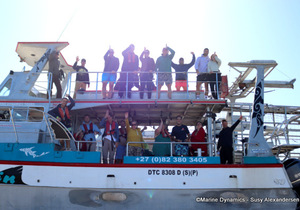 Daily Blog: 13 September 2022 | Shark Cage Diving in South Africa