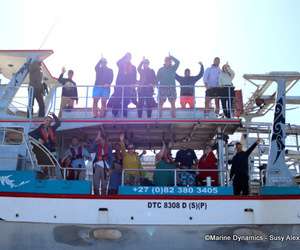 Daily Blog: 13 September 2022 | Shark Cage Diving in South Africa