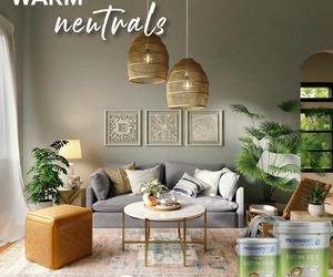 Warm Neutrals: Premium Satin Silk Paint