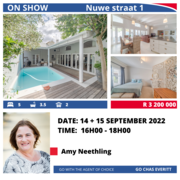 On Show During Nampo Week: Nuwe Street 1 Bredasdorp