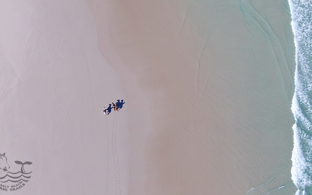 Pearly Beach Horse Trails