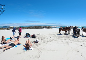 Latest Review and Awards