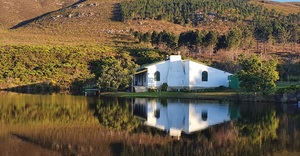 Countdown To The Pairing Art + Wine - Only 9 Days To Go!