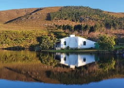 Countdown To The Pairing Art + Wine - Only 9 Days To Go!