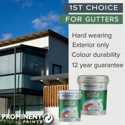 Prominent Paints: Roof and Paving