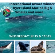Next Dyer Island Marine Big 5 Tour: 21 September 2022