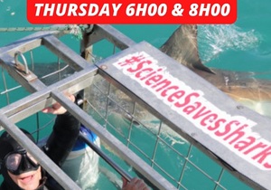 Next Marine Dynamics Shark Cage Diving Trip: 22 September 2022