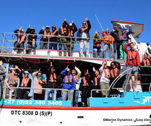 Daily Blog: 20 September 2022 | Shark Cage Diving in South Africa