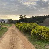 Lodge Road - Heilfontein Country Escape - Xplorio™ Caledon