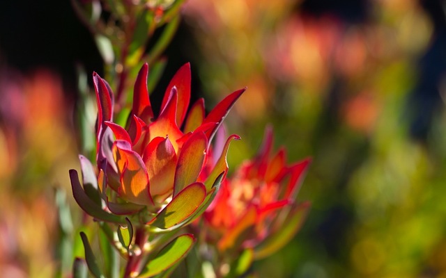 307692798_557149163082953_7336834534462962279_n_1663939884