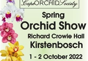 1 - 2 October 2022: Cape Orchid Society Show at Kirstenbosch Gardens