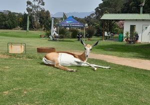 Theewaterskloof Dam: 26 September 2022