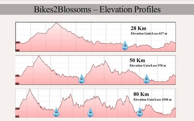 Routes and Elevation 4 - Trail's End - Xplorio™ Grabouw Routes and Elevation 4 - Trail's End - Xplorio™ Grabouw